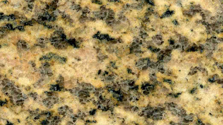 Tiger Skin Yellow Granite Count